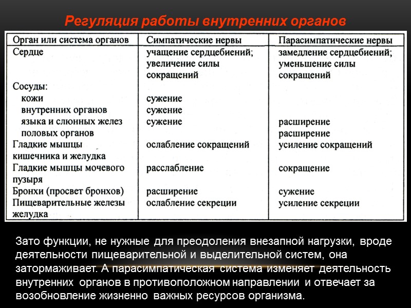 Регуляция работы внутренних органов  Зато функции, не нужные для преодоления внезапной нагрузки, вроде